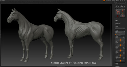 3D model
